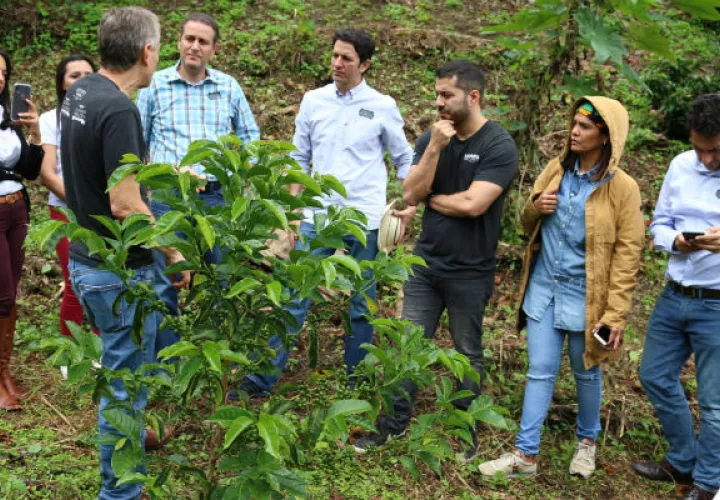 A parte  del Circuito del Café, hay otros sitios de interés como el Volcán Barú, el Sendero Los Quetzales, Boca Chica.