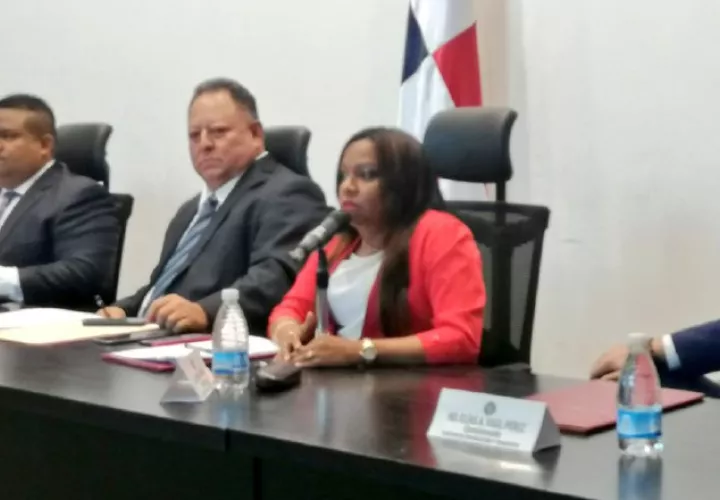 El proyecto fue presentado por la diputada oficialista Cenobia Vargas.