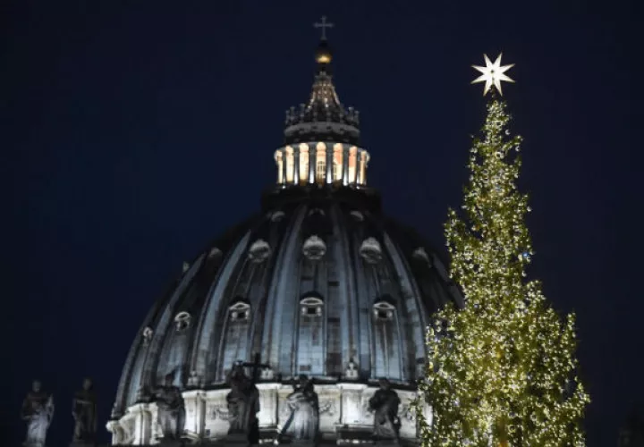 El abeto de Navidad procede del Bosque del Cansiglio.