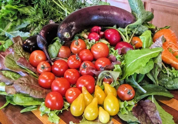 Con sus cuidados amorosos podrá cosechar muchos alimentos que le sabrán mejor porque ahorrará dinero y experimentará la satisfacción de saber que son frutos de su esfuerzo y no tienen insecticidas. Foto: Pixabay.