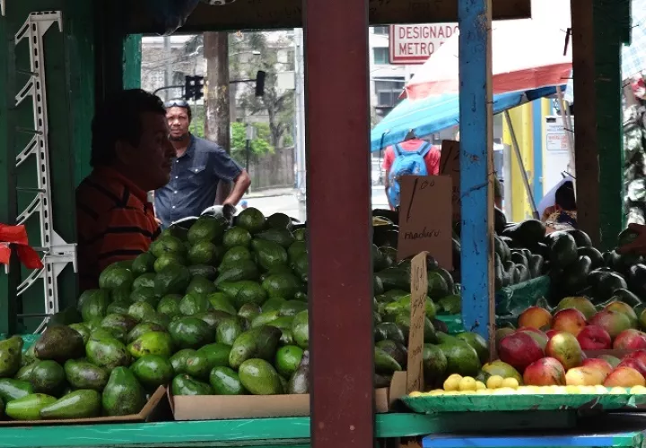 Vendedoras de flores en Calidonia el día de elecciones generales 2019  en Panamá. Foto: Rosalina Orocú Mojica.