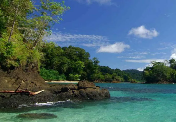 Bucear en isla Coiba te permitirá ver peces de diferentes tamaños, sin tener que gastar mucho dinero. Fotos: ATP