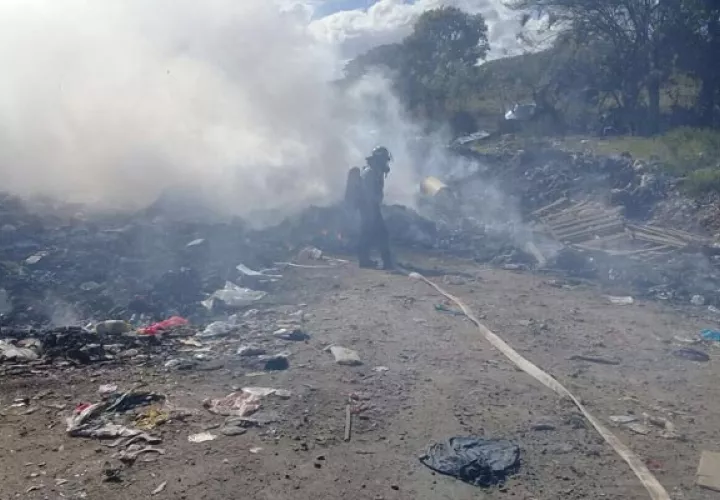 Ana María Rosas, residente a orillas de la vía Soná-Guarumal, denunció que es un problema frecuente que se acentúa con la entrada del verano. Foto/Víctor Eliseo Rodríguez