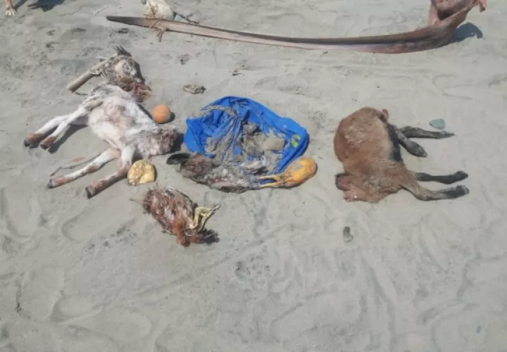 El lugar ha dejado de ser un área de esparcimiento y para bañarse; y ahora lo quieren convertir en un centro para realizar actos de supercherías. Foto/Melquiades Vásquez
