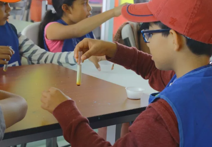 Los interesados podrán recibir cursos para niños y jóvenes de 6 a 17 años. 