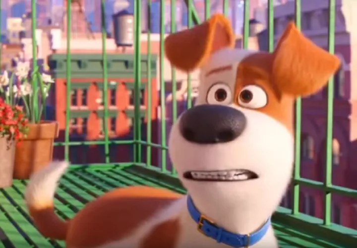 Aventuras, sustos, nuevas experiencias, en 'La vida secreta de tus mascotas 2'. https://noticiasenlamira.com