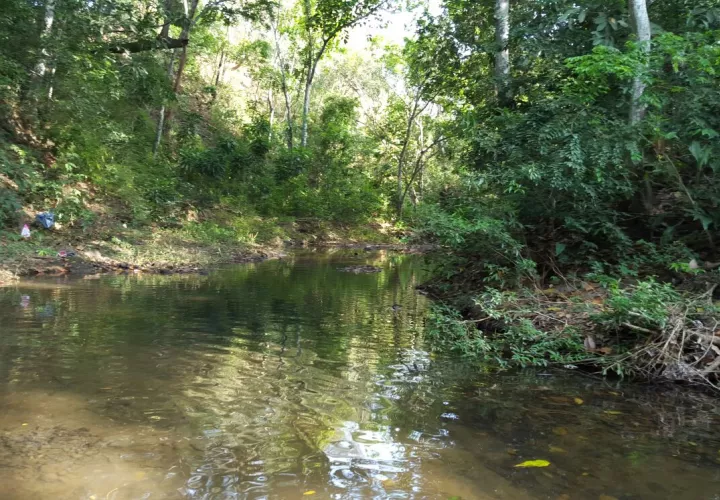 Hombre amarra a una mujer con discapacidad y la lleva a un río para abusar de ella. Foto: Panamá América.
