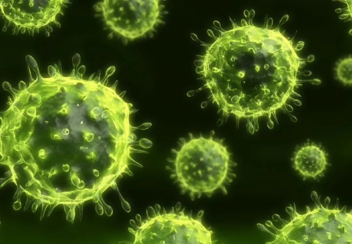 Algunos virus son capaces de apoderarse de una enzima que supuestamente previene enfermedades autoinmunitarias con el fin de evitar ser localizados.  