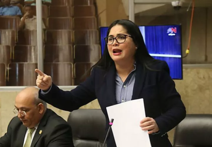 Zulay Rodríguez desestimó la propuesta de Juan Diego Vásquez de modificar un artículo del proyecto de ley N°12. Foto: Panamá América.
