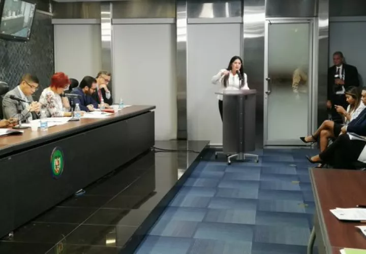 La Comisión de Gobierno de la Asamblea Nacional prohijó de forma unánime la propuesta de Zulay Rodríguez. Foto: Asamblea Nacional.